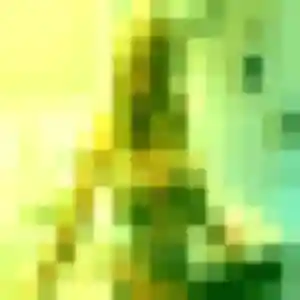 Apinya de Les Ponts-de-Cé, 24 ans - rencontre japonaise discret