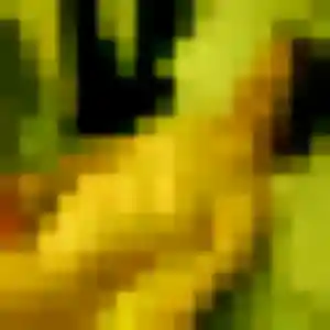 Fumi, 40 ans, cherche un rencontre japonaise à Les Sables-d'Olonne