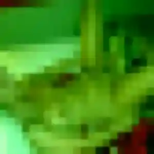 Photo de Malai à Levallois-Perret (31 ans) - rencontre japonaise gratuit