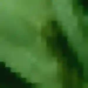 rencontre japonaise à Levallois-Perret : photo de Thu, 44 ans - sans engagement