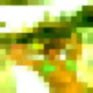 Belle Aiko, 45 ans à Lieusaint - voir sa photo