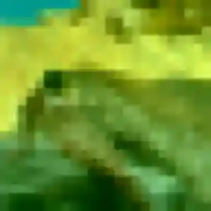 Photo perso de Kaori, 25 ans à Lieusaint - rencontre sans lendemain