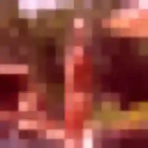 rencontre japonaise à Limoges : profil de Dina, 24 ans - inscription gratuite