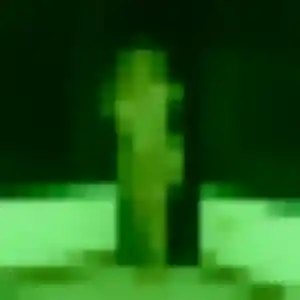 Photo de Ploy à Lingolsheim (29 ans) - rencontre japonaise anonyme