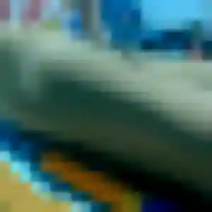 Profil de Maly à Lognes (41 ans) - rencontre japonaise sans inscription