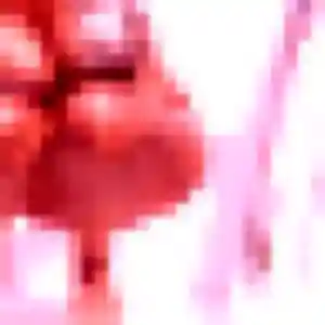 Pearl, 27 ans, connectée à Lognes pour une rencontre coquine