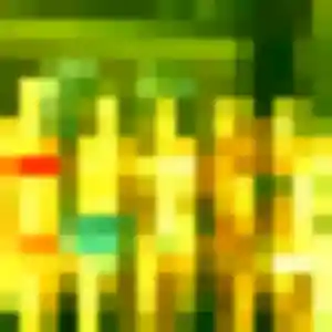 Photo privée de Van, 36 ans à Lormont - rencontre sans lendemain