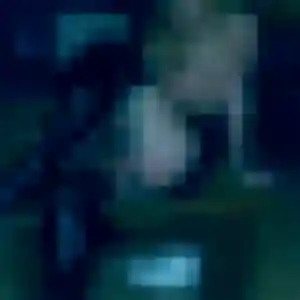 rencontre japonaise à Lucé : profil de Setsuko, 39 ans - inscription gratuite