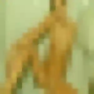 Rachana, 45 ans, connectée à Lunel pour un rencontre japonaise