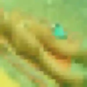 rencontre japonaise à Maisons-Laffitte : profil de Josefina, 36 ans - accès libre