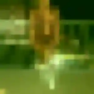 Photo de Thuy-Linh à Manosque (45 ans) - rencontre japonaise discret