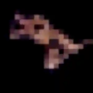 Belinda, femme de 45 ans propose rencontre japonaise à Marquette-lez-Lille