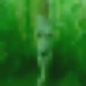 rencontre japonaise à Mauges-sur-Loire : photo de Vanna, 32 ans - inscription gratuite