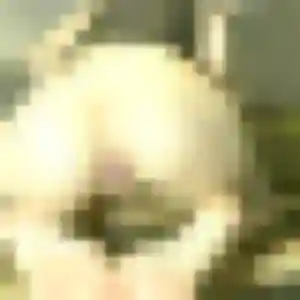 Miho, 24 ans, en ligne à Melun pour un rencontre japonaise