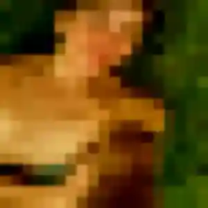 Maho, 41 ans, cherche un rencontre japonaise à Mende