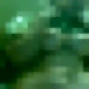 rencontre japonaise à Mennecy : photo de Somjai, 35 ans - sans engagement