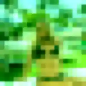 Profil de Bianca à Menton (35 ans) - rencontre japonaise discret