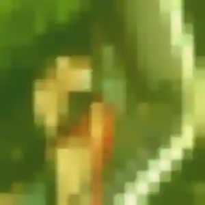 Momoka, 32 ans, disponible à Méru pour une rencontre coquine