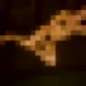 Profil de Srey à Meudon (45 ans) - rencontre japonaise sans inscription