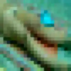 rencontre japonaise à Meyzieu : photo de Azusa, 42 ans - accès libre