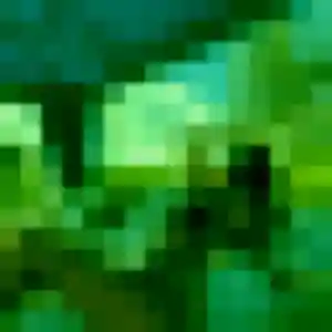 Chae-Won, 34 ans, connectée à Meyzieu pour un rencontre japonaise