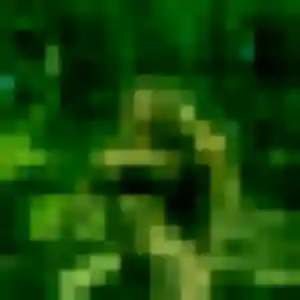 Feng (33 ans) à Mions attend un rencontre japonaise ce soir