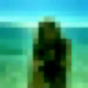 Chae-Won, fille de 44 ans propose rencontre japonaise à Moissy-Cramayel