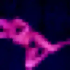 Sexy Kasumi, 24 ans à Mont-Saint-Aignan - la contacter