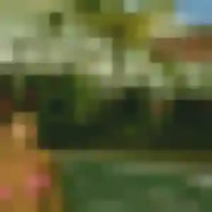 Lien (33 ans) à Montargis propose un rencontre japonaise rapidement