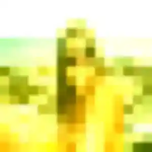 Profil de Haruka à Montévrain (28 ans) - rencontre japonaise discret