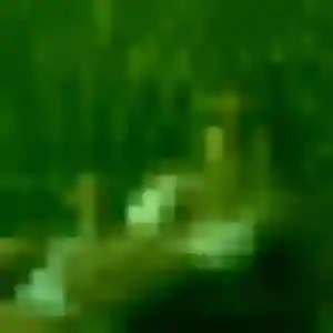 Kanako, 32 ans, connectée à Montévrain pour une rencontre coquine