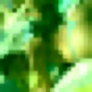 rencontre japonaise à Montigny-le-Bretonneux : photo de Azusa, 26 ans - accès libre