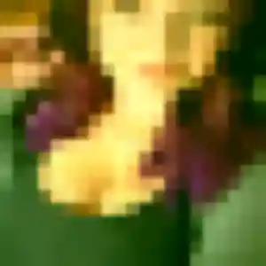 Sexy Irene, 39 ans à Montigny-le-Bretonneux - découvrir son profil