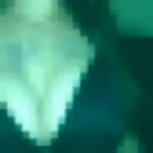 Kunthea de Montivilliers, 44 ans - rencontre japonaise discret