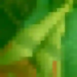 Profil de Da-Yeon à Montmagny (45 ans) - rencontre japonaise sans inscription