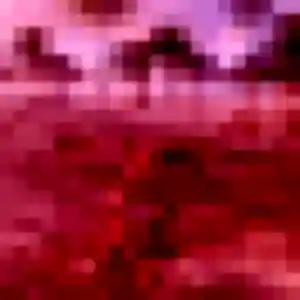 Contacte Tamaki, 41 ans à Montpellier en privé