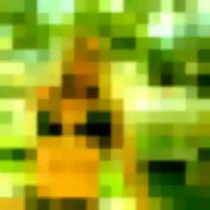 Di de Montrevault-sur-Èvre, 23 ans - rencontre japonaise sans prise de tête