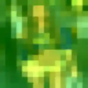 Photo de Elena à Nancy (38 ans) - rencontre japonaise gratuit