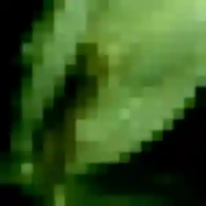 rencontre japonaise à Nanterre : photo de Saree, 33 ans - sans engagement