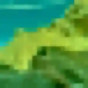 Photo de Carmela à Nantes (38 ans) - rencontre japonaise discret