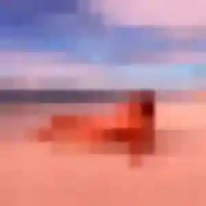 Ara de Nîmes, 31 ans - rencontre japonaise discret