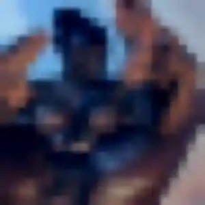 Ayaka, fille de 40 ans propose rencontre japonaise à Niort