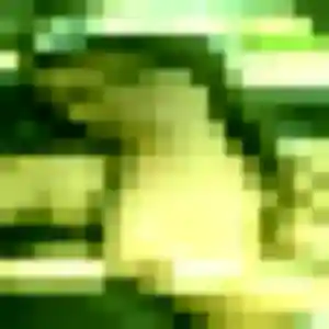 Photo exclusive de Haruka, 36 ans à Niort - rencontre coquine