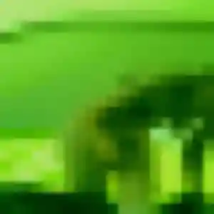 Yoo-Jin, fille de 34 ans veut rencontre japonaise à Niort