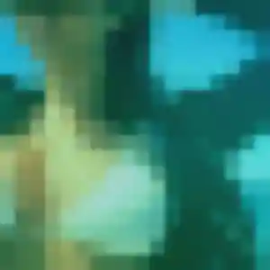 rencontre japonaise à Nœux-les-Mines : profil de Dong, 28 ans - sans engagement