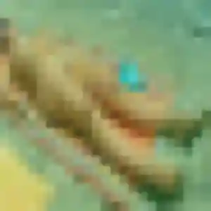 Tawan de Nogent-sur-Marne, 24 ans - rencontre japonaise discret