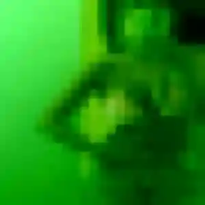 Yoshiko de Noisiel, 31 ans - rencontre japonaise en toute liberté