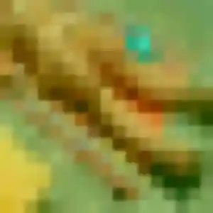 Hanh, 37 ans, connectée à Obernai pour une rencontre coquine