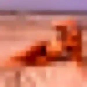 Yoon-Ah, 33 ans, disponible à Obernai pour un rencontre japonaise