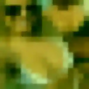 Uyen (42 ans) à Olivet propose une rencontre aujourd'hui